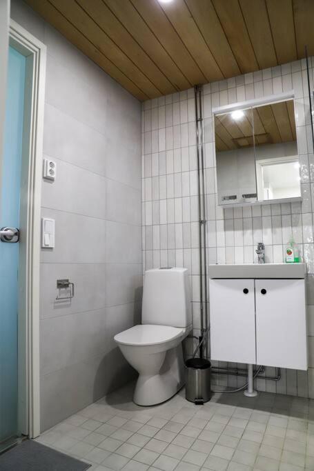 Vakantiehuis Big Apartment, Near Santaclaus Village Rovaniemi