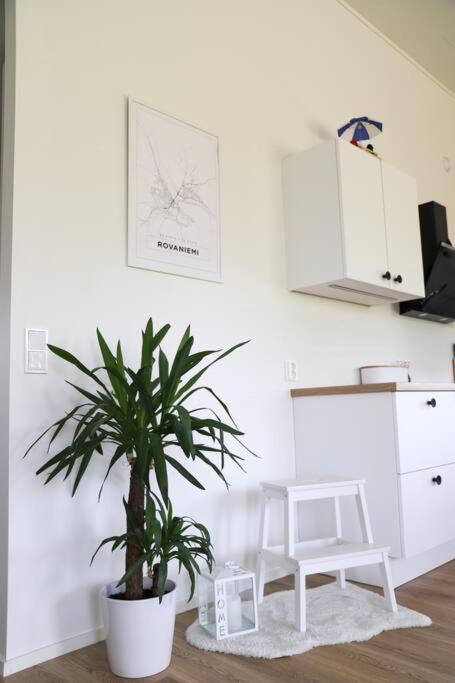 Big Apartment, Near Santaclaus Village Hébergement de vacances
